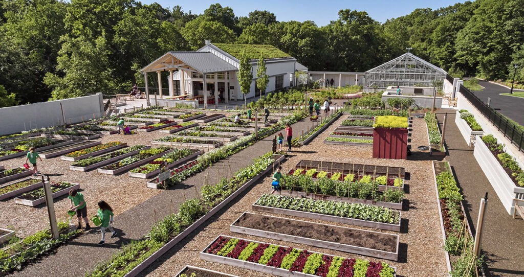 NYBG Edible Overhead Shot