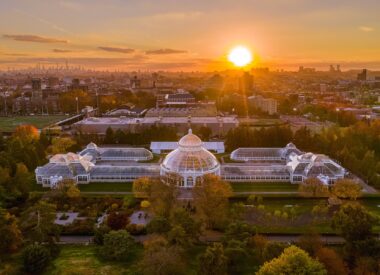 NYBG Palm Dome Restoration Sunset