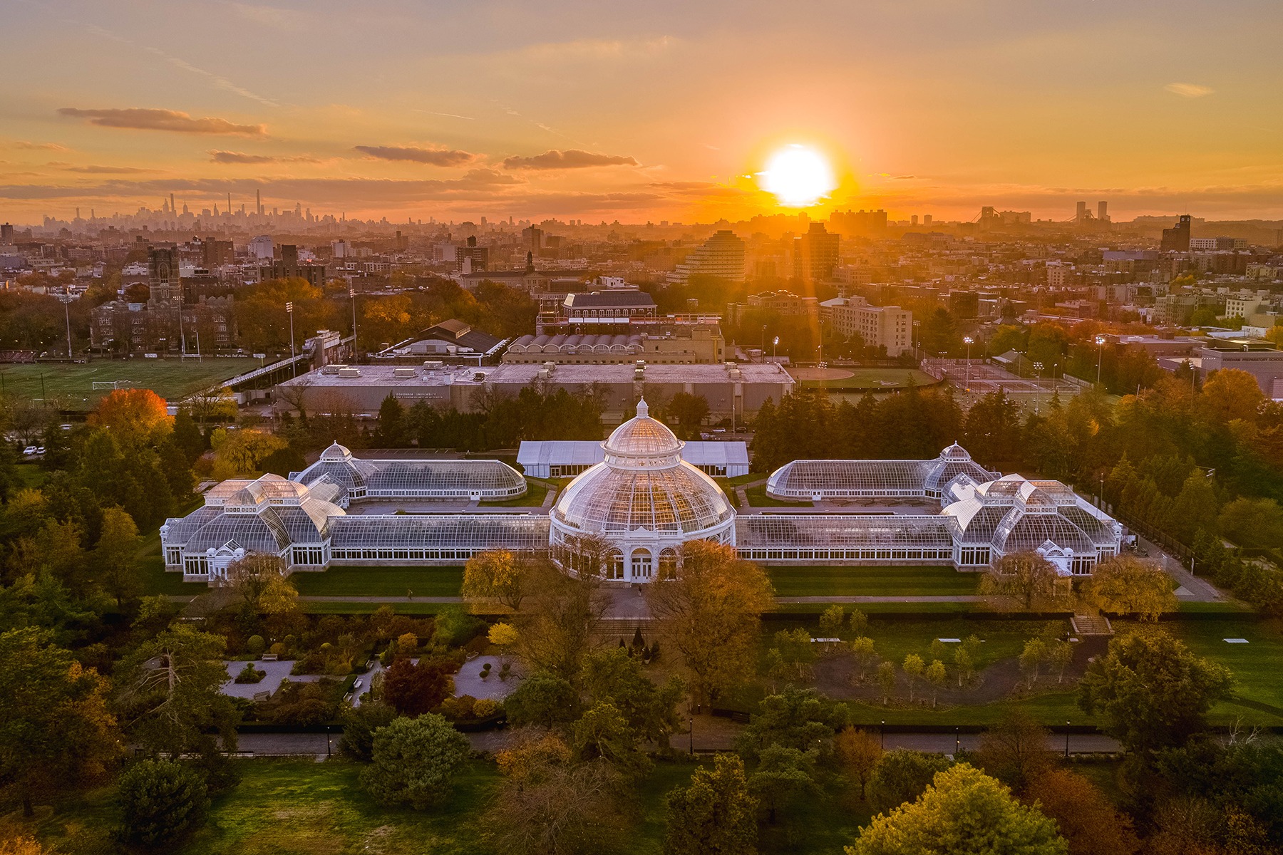 NYBG Palm Dome Restoration Sunset
