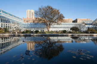 Brooklyn Botanic Garden South Garden