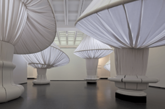 Brooklyn Museum Of Art ReOrder