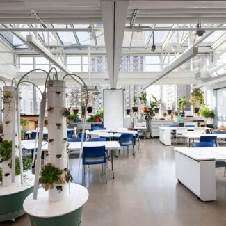 Dalton School Office Area