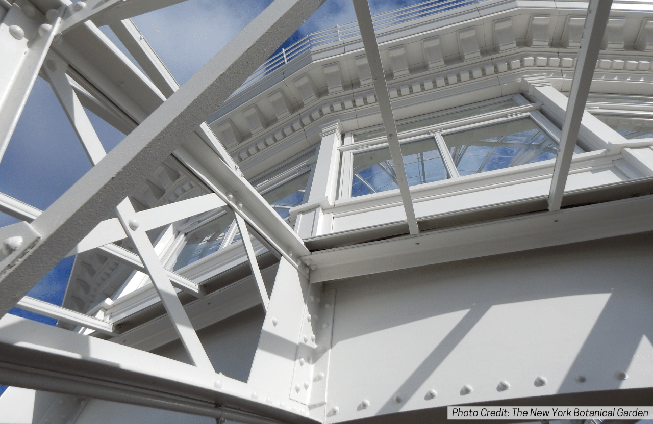 Enid A. Haupt Conservatory Palm Dome Restoration Overhead