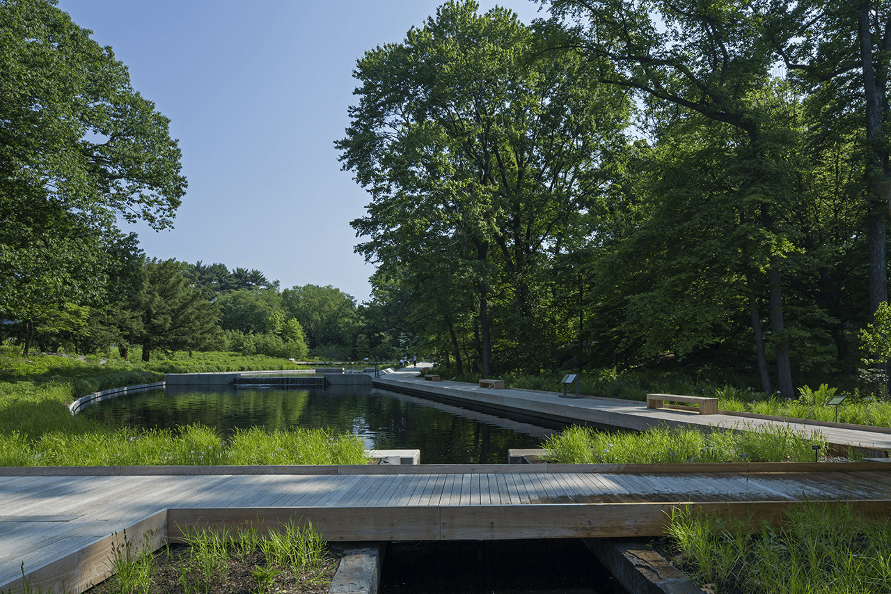 NYBGNative-(1) NYBC_Native_Plant_Garden