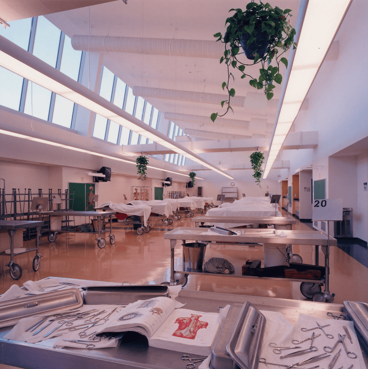 NYMedical1 NewYorkMedicalSchool_Education